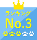 ランキングNo.3